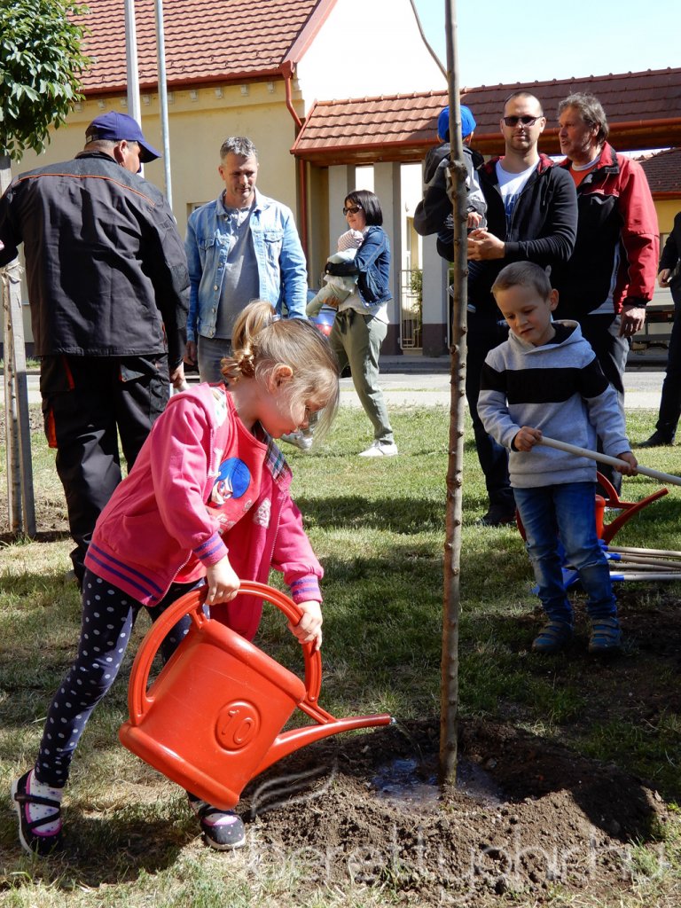 Életfa ültetés a város napján 35